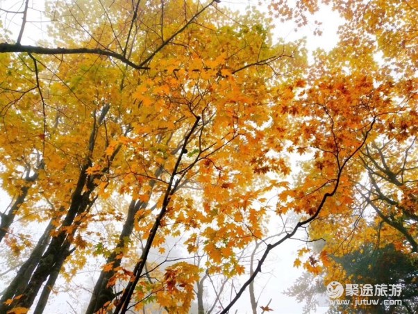 峨眉山旅游