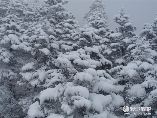 雪山旅游旅游