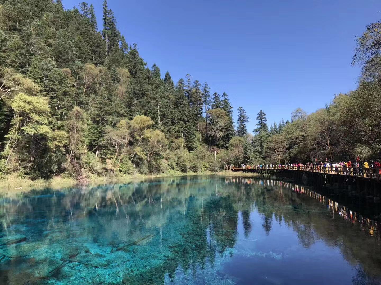 去九寨沟旅游要多少钱 成都到九寨沟旅游报价