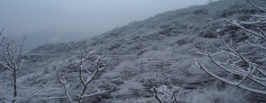 西岭雪山