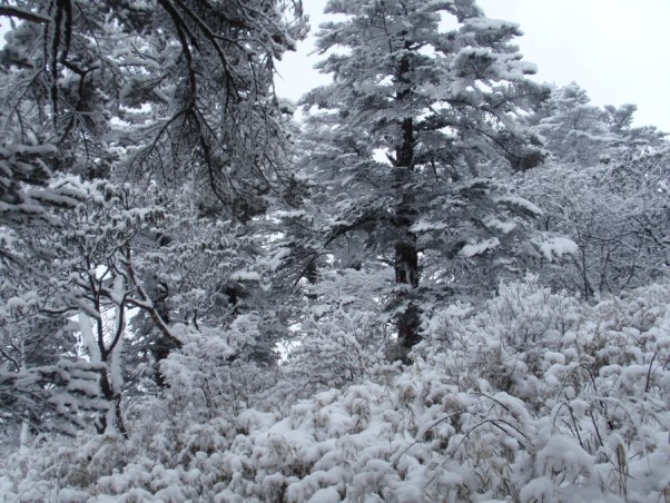 刘宇-20141107-04.jpg