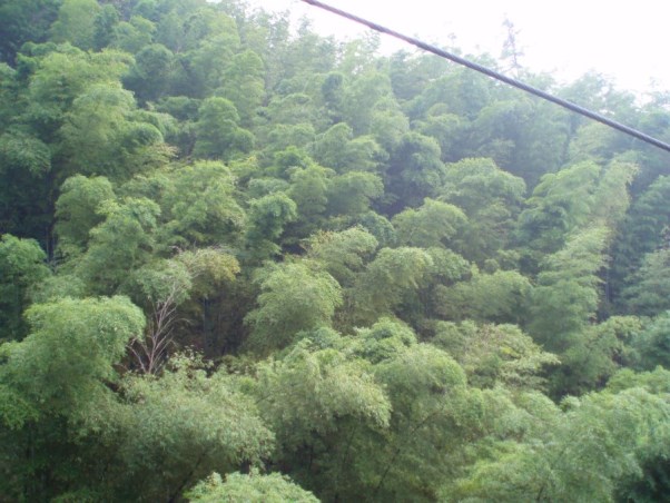 刘宇-20141125-15.jpg