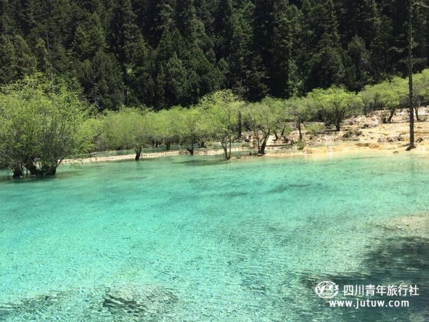 黄龙旅游